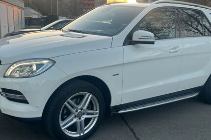 Mercedes-Benz ML 250 176.500 km 18.900 &euro; Reutlingen 72760