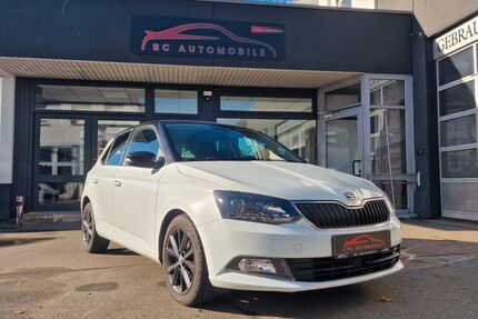 Skoda Fabia 174.000 km 6.490 &euro; Metzingen 72555