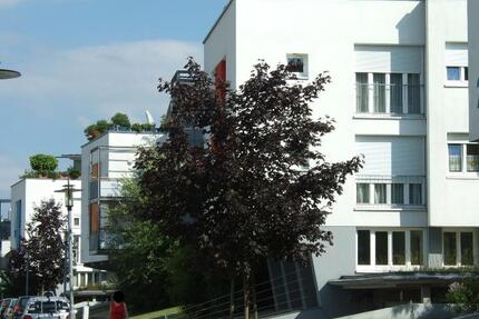 Wohnung Esslingen am Neckar Hegensberg - 4 Zimmer, 92 m&sup2;, 1.174&euro; | Angebot:26664680