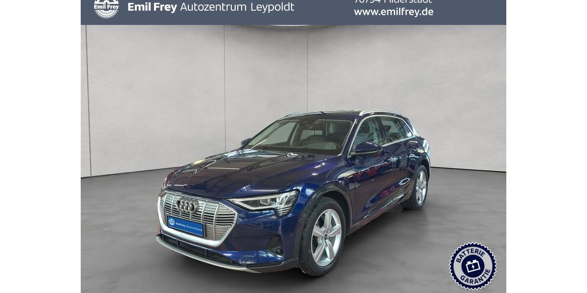 Audi e-tron 68.958 km 32.890 &euro; Filderstadt 70794