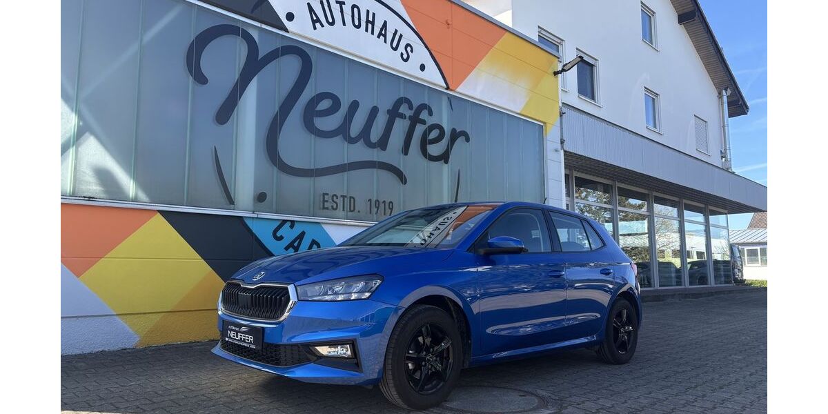 Skoda Fabia 16.060 km 17.490 &euro; Herrenberg-Kuppingen 71083