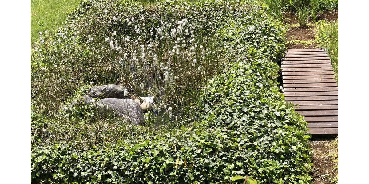 Mehrfamilienhaus, Wohnhaus Erkenbrechtsweiler - 7 Zimmer, 195 m&sup2;, 447.000&euro; | Angebot:26034280