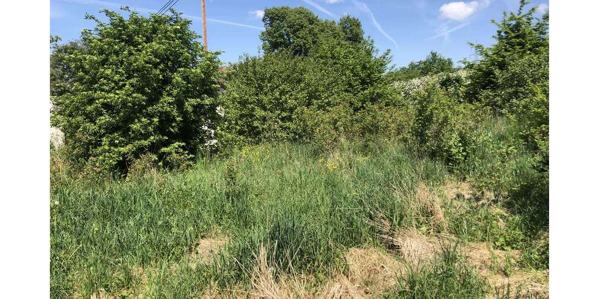 Grundstück Reudern Reudern - 220.000&euro; | Angebot:20299773