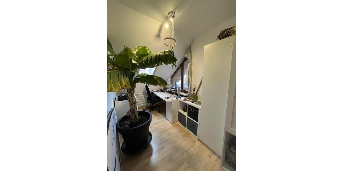 Dachgeschoßwohnung Altdorf - 5 Zimmer, 98 m&sup2;, 950&euro; | Angebot:26006806