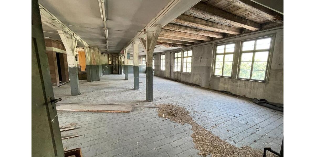 Gewerbeobjekt Metzingen - 590&euro; | Angebot:22558395