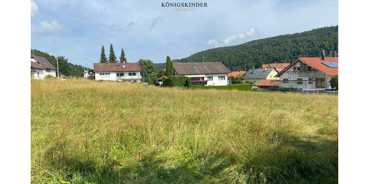Grundstück Burladingen Gauselfingen - 350.000&euro; | Angebot:25676086