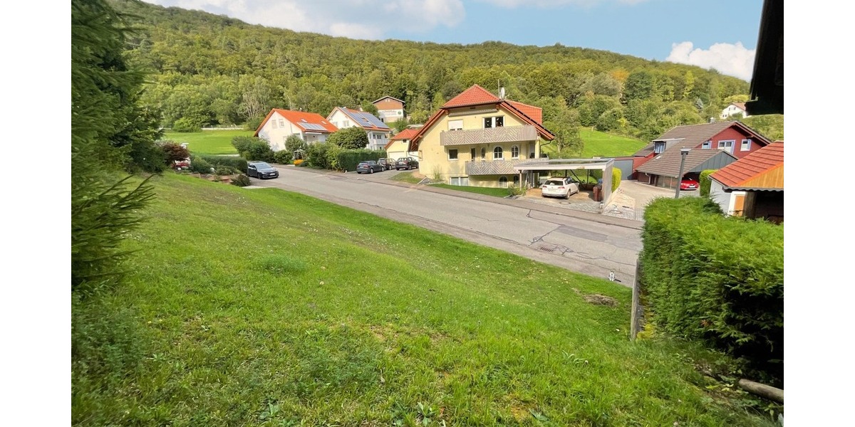 Grundstück Burladingen - 60.000&euro; | Angebot:25746182