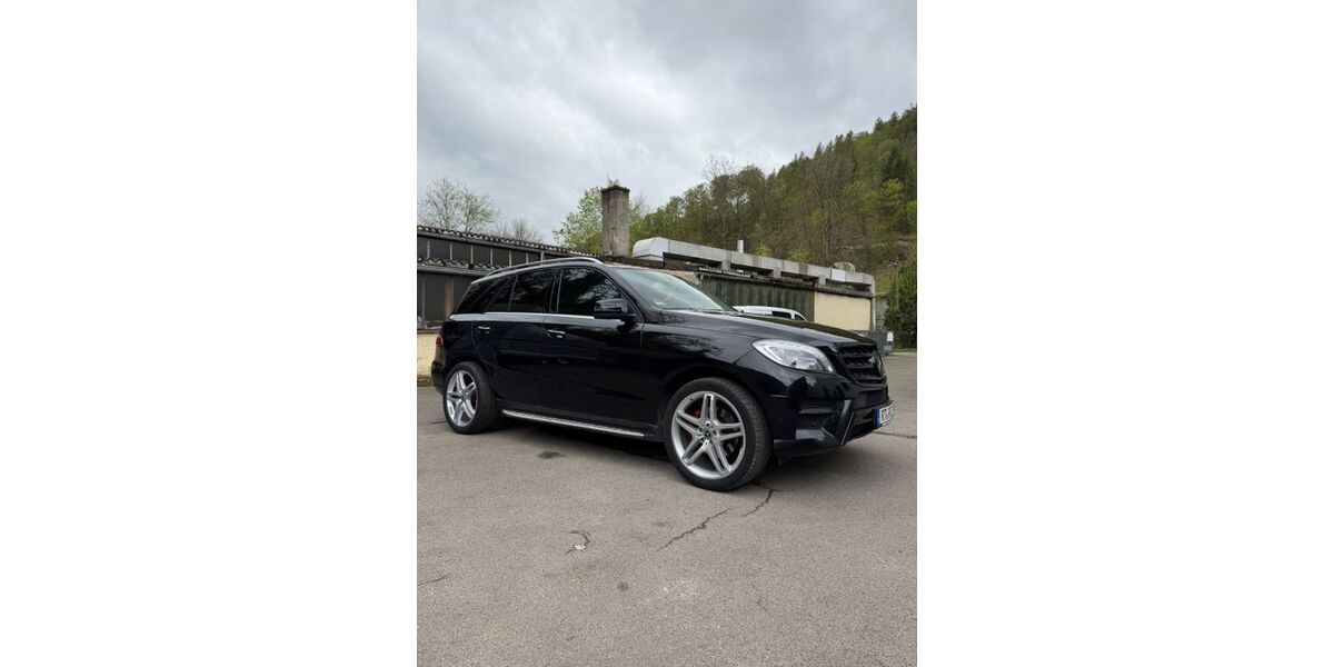 Mercedes-Benz ML 350 213.574 km 20.500 &euro; Bad Urach 72574