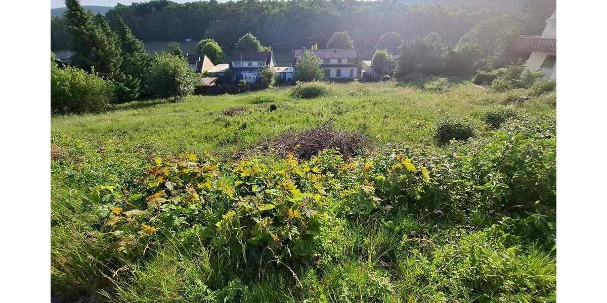 Grundstück Burladingen - 125.000&euro; | Angebot:25781216