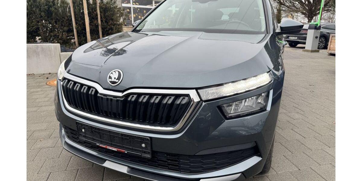 Skoda Kamiq 91.000 km 11.900 &euro; Reutlingen 72770