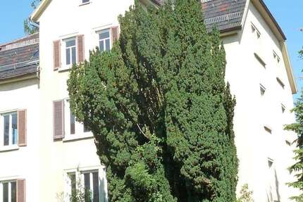 Wohnung Reutlingen - 1 Zimmer, 23 m&sup2;, 290&euro; | Angebot:22169760