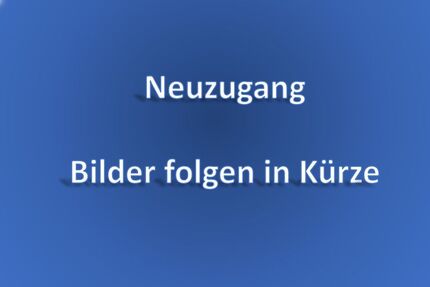 Skoda Kodiaq 170.000 km 19.600 &euro; Sindelfingen 71065
