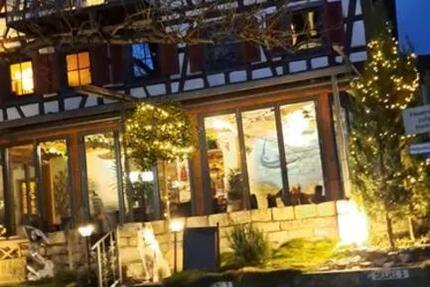 Haus Münsingen - 12.5 Zimmer, 302 m&sup2;, 869.000&euro; | Angebot:24217678