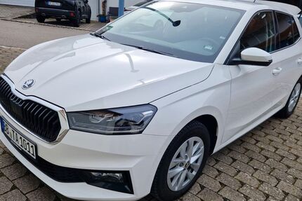 Skoda Fabia 9.100 km 17.499 &euro; Ehningen 71139