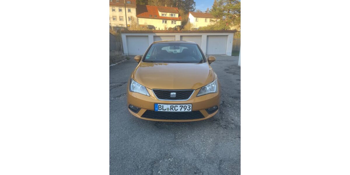 Seat Ibiza 160.256 km 3.790 &euro; Burladingen 72393