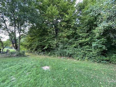 VIELSEITIGES ANWESEN  IDEEN OHNE GRENZEN - Grundstück Steinenbronn | Angebot:26819051