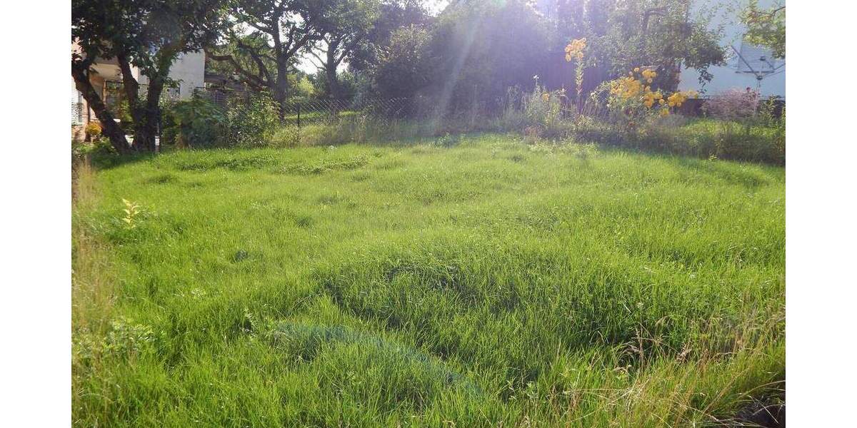 Mehrfamilienhaus, Wohnhaus Neckartenzlingen - 1 Zimmer, 216 m&sup2;, 560.000&euro; | Angebot:25746421