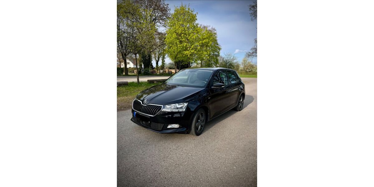 Skoda Fabia 103.000 km 9.700 &euro; Wendlingen 73240