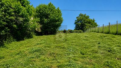 BLICK ÜBER TÜBINGEN - Grundstück Tübingen Schönblick / Winkelwiese | Angebot:26991083