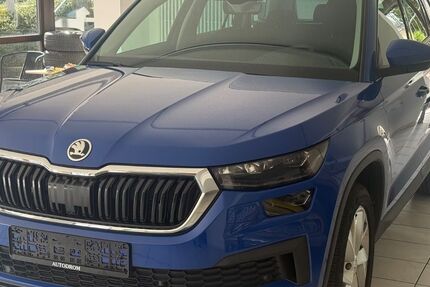 Skoda Kodiaq 168.200 km 19.450 &euro; Nürtingen 72622