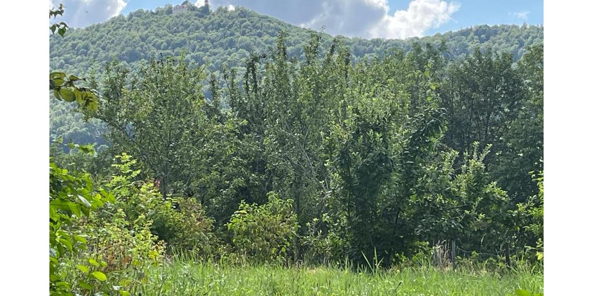 Grundstück Bissingen an der Teck Bissingen - 345.000&euro; | Angebot:25696488