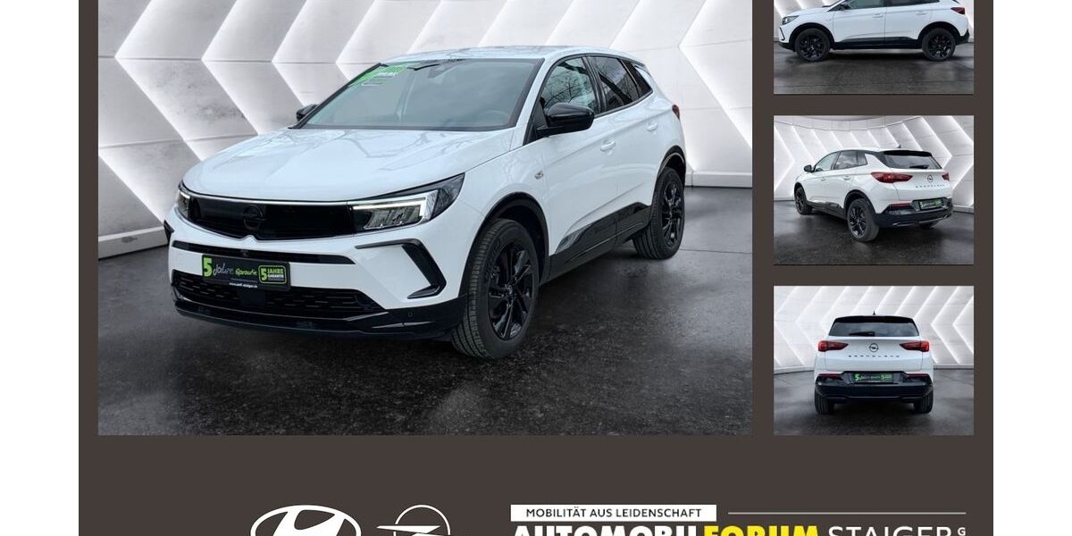 Opel Grandland (X) 20.502 km 18.690 &euro; Pfullingen 72793