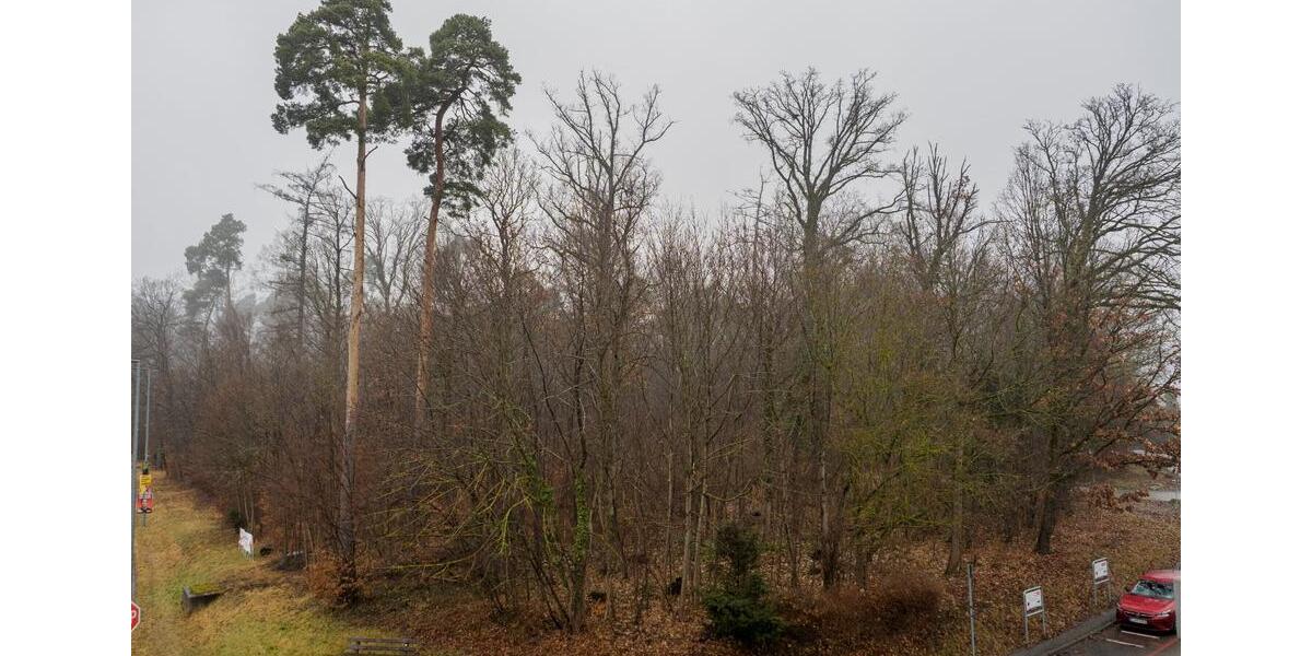 Etagenwohnung Leinfelden-Echterdingen Echterdingen - 2 Zimmer, 60 m&sup2;, 309.000&euro; | Angebot:24837122