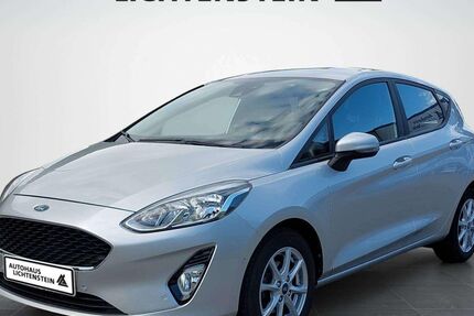 Ford Fiesta 88.500 km 8.800 &euro; Lichtenstein 72805