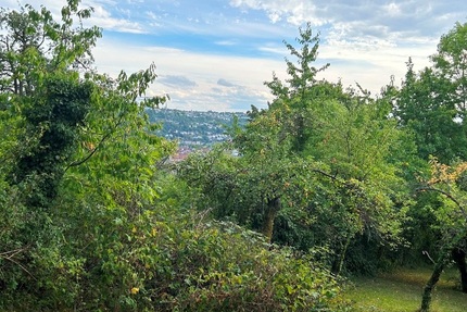 Gartengrundstück in Toplage von Esslingen - Wittumweinberge oberhalb der Burg - Grundstück Esslingen am Neckar Hohenkreuz | Angebot:27549076