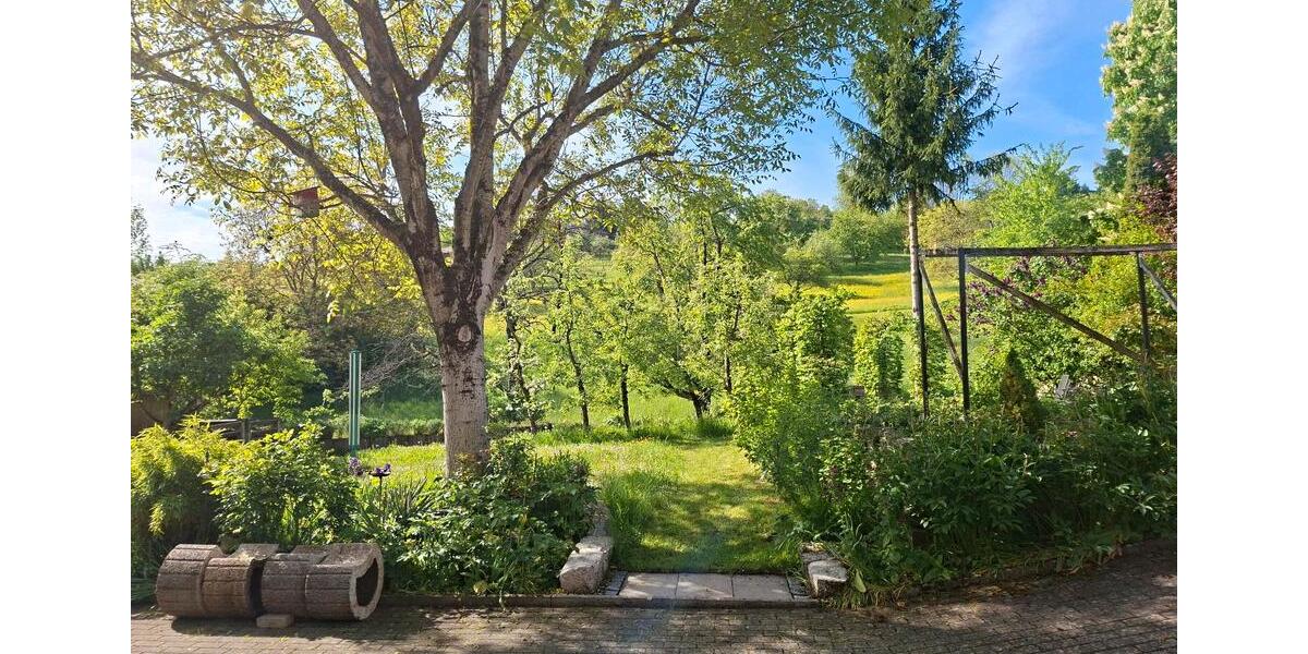 Erdgeschoßwohnung Kohlberg - 2 Zimmer, 62 m&sup2;, 850&euro; | Angebot:26677379