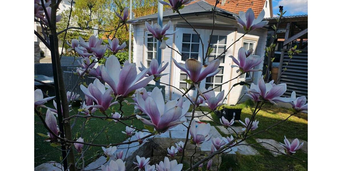 Maisonettenwohnung Kirchheim unter Teck - 5 Zimmer, 147 m&sup2;, 749.000&euro; | Angebot:27096431