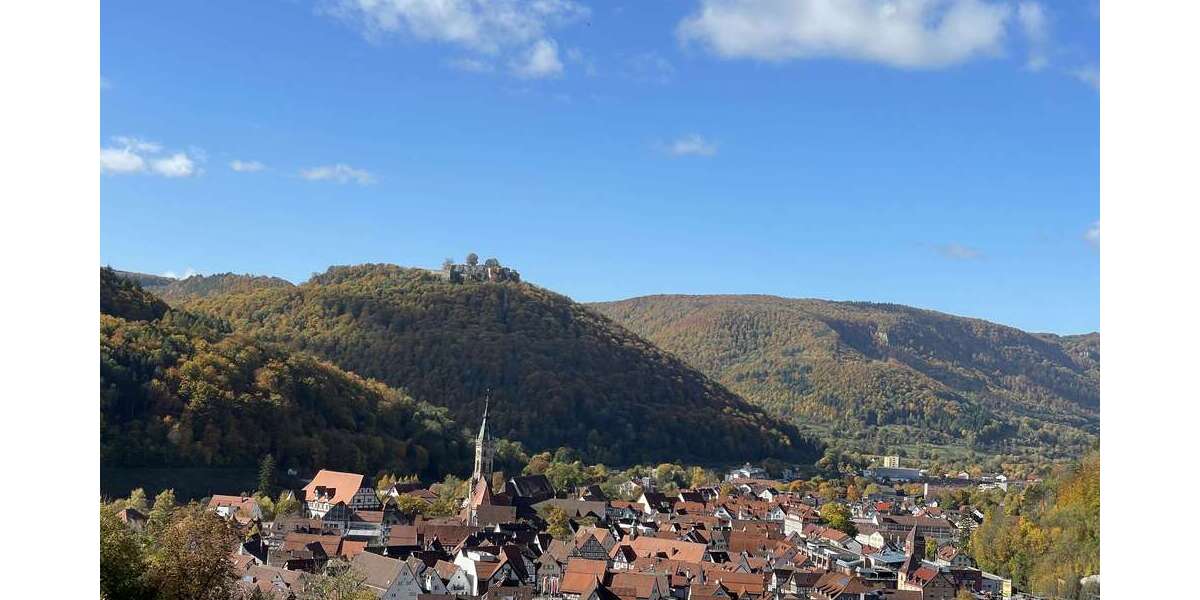 Etagenwohnung Bad Urach - 2 Zimmer, 55 m&sup2;, 175.000&euro; | Angebot:27112494