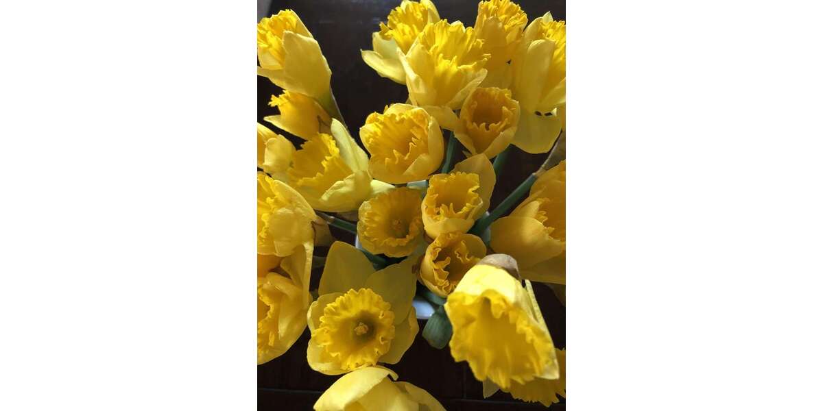 Etagenwohnung Rottenburg am Neckar - 5 Zimmer, 160 m&sup2;, 555.000&euro; | Angebot:26032587