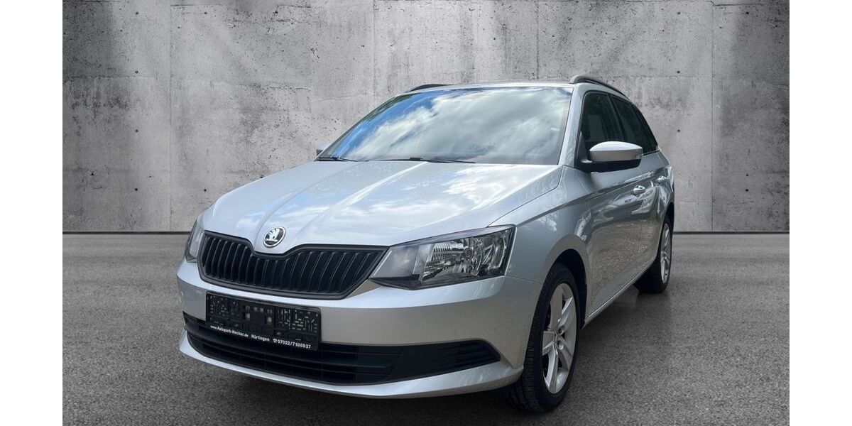 Skoda Fabia 74.000 km 8.990 &euro; Nürtingen bei Stuttgart 72622