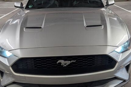 Ford Mustang 123.000 km 21.000 &euro; Gomaringen 72810