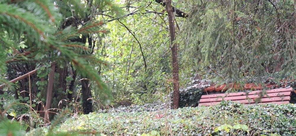 Einfamilienhaus Neufra - 7 Zimmer, 150 m&sup2;, 99.000&euro; | Angebot:25707690