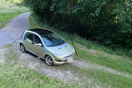 Smart ForFour 195.000 km 1.299 &euro; Lichtenstein 72805