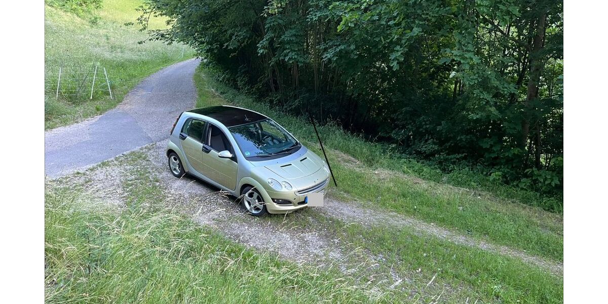 Smart ForFour 195.000 km 1.299 &euro; Lichtenstein 72805