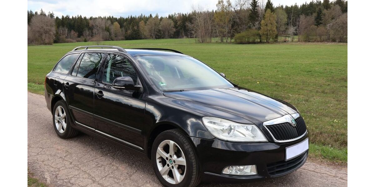 Skoda Octavia 264.000 km 3.690 &euro; Reutlingen 72770