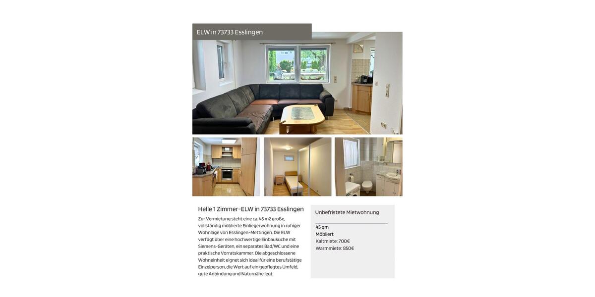 Etagenwohnung Esslingen am Neckar Brühl - 1.5 Zimmer, 45 m&sup2;, 850&euro; | Angebot:25930072