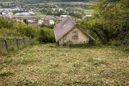 Grundstück Tübingen Schönblick / Winkelwiese - 50.000&euro; | Angebot:26663957
