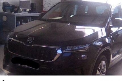 Skoda Karoq 83.903 km 24.430 &euro; Tübingen 72072