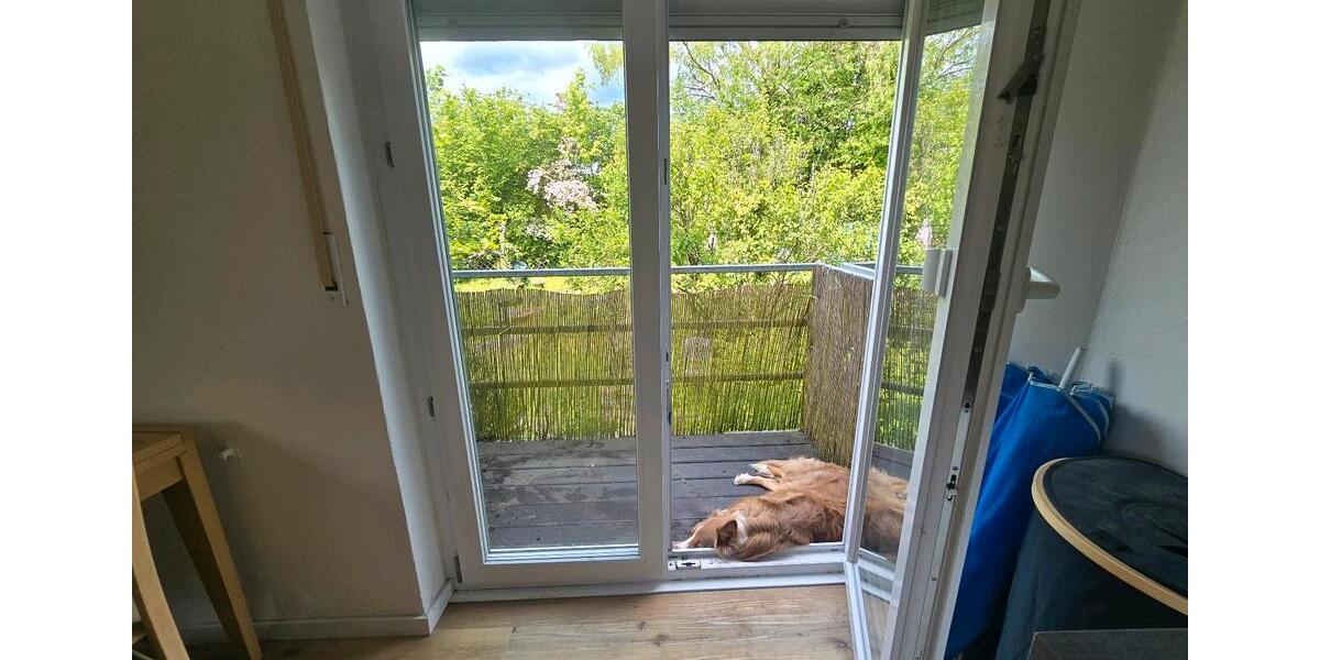 Dachgeschoßwohnung Tübingen Derendingen - 2 Zimmer, 50 m&sup2;, 1.150&euro; | Angebot:26619556