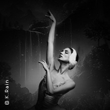 Grand Classic Ballet - Schwanensee - Jenseits der Bühne 31.12.2026 Filderhalle / Kongress-u.KulturCentrum