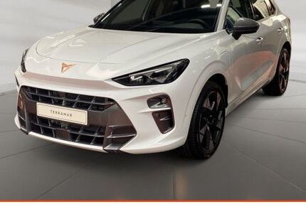 Cupra Terramar 1.500 km 44.960 &euro; Nürtingen 72622