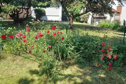 Haus Sindelfingen Sindelfingen (Stadt) - 6 Zimmer, 124 m&sup2;, 600.000&euro; | Angebot:25819199