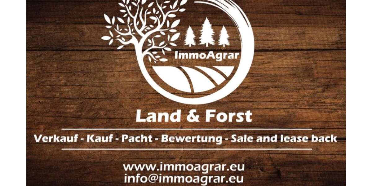 Grundstück Böhringen Böhringen - 29.900&euro; | Angebot:25055200