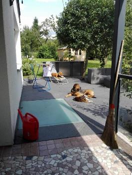 Einfamilienhaus Herrenberg - 1.290.000&euro; | Angebot:25126404