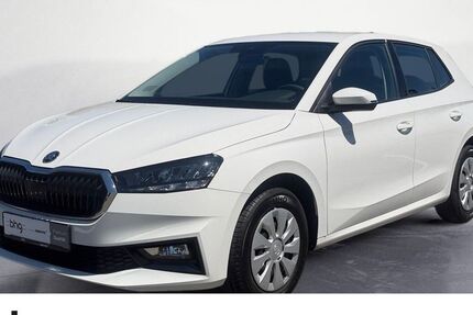 Skoda Fabia 18.086 km 14.930 &euro; Tübingen 72072