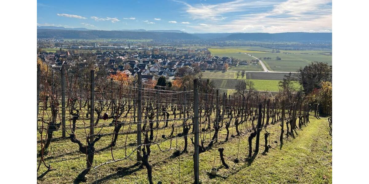 Grundstück Tübingen - 55.000&euro; | Angebot:24101823